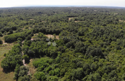 /c_images/thumb_3602310_2_1751270411_dji_0748.jpg