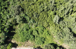 /c_images/thumb_3602310_4_1751270419_dji_0749.jpg