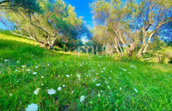 /c_images/thumb_3602398_1_1751465204_prodaja-zemljiste-istra-cerovlje-8.jpg