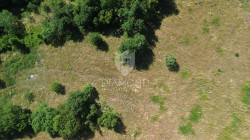 /c_images/thumb_3602977_1_1751540135_dji_0371.jpg