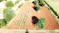 /c_images/thumb_3602978_1_1751540122_dji_0548.jpg