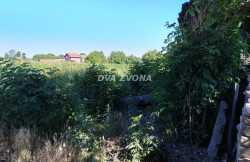 /c_images/thumb_3603548_3_ite-8-agency-dvazvona-img-f4z84b75pg-img-20250629-091506.jpg