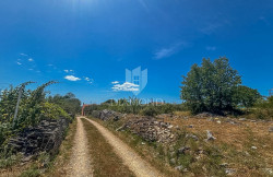 /c_images/thumb_3603735_1_1751182114_22.jpg
