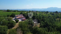 /c_images/thumb_3603736_1_1751637736_dji_0379.jpg