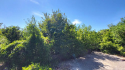 /c_images/thumb_3604414_3_980_2_1751635159.jpg