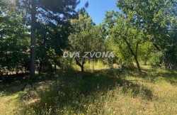 /c_images/thumb_3604928_4_ion-image-site-8-agency-dvazvona-img-ibbqqio5ys-img-5168.jpg