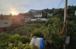 /c_images/thumb_3605016_2_p-action-image-site-8-agency-bokarealty-img-3tfrhotnte-4.jpg