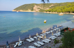 /c_images/thumb_3605016_4_p-action-image-site-8-agency-bokarealty-img-vrudauavsz-5.jpg