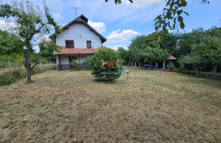 /c_images/thumb_3605100_2_-site-8-agency-manojlovic-img-pf3wgfdgks-20250701-131649.jpg