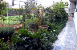 /c_images/thumb_3605149_4_Marija_1f7f677a4db7.jpg