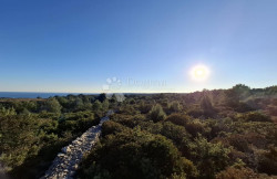 /c_images/thumb_3605263_2_1751020179_rakalj2.jpeg