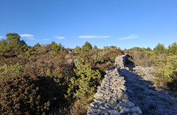 /c_images/thumb_3605263_3_1751020181_rakalj3.jpeg