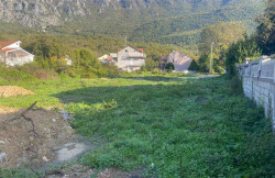 /c_images/thumb_3605721_3_zelenika.jpg