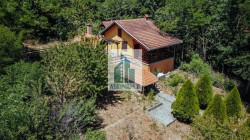 /c_images/thumb_3605773_3_tion-image-site-8-agency-agarnek-img-x5nszrmunp-dji-0669.jpg