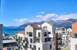 /c_images/thumb_3605872_1_-action-image-site-8-agency-bokarealty-img-n736g7x4sm-18.jpg