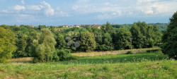 /c_images/thumb_3606062_1_1751983764_pavucnjak4.jpg