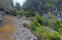 /c_images/thumb_3606140_2_1683283258_poljoprivredno-zemljiste-korcula-2.jpg