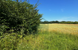 /c_images/thumb_3606525_1_r-nekretnine.hrslikewatermark-zir.png_50_30_20_c_c_s_c1.jpeg