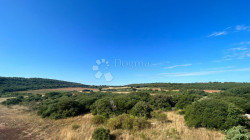 /c_images/thumb_3607706_2_1752147241_e2d9cbd5-f753-4c36-9f28-15a33d22b93f.jpeg