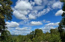/c_images/thumb_3608479_2_1752225579_slika-ankica-2.jpeg