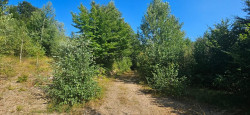 /c_images/thumb_3608536_1_518012a9-71a7-4f77-9540-2da4a9daeb97.jpeg
