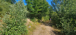 /c_images/thumb_3608536_2_d0a4cf57-71fd-41f3-88cd-6760b83cbe22.jpeg