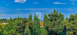 /c_images/thumb_3608798_1_1752324266_karpinjan-novigrad-12.jpg