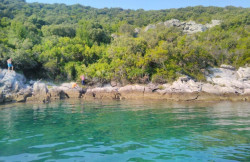 /c_images/thumb_3609065_1_1752413140_slika1.jpg