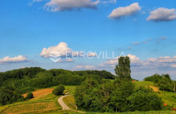 /c_images/thumb_3609448_1_c3610d48db9cc6a07305b231701a8d91.jpg