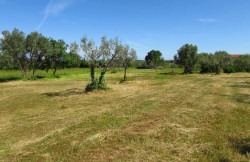 /c_images/thumb_3609584_2_8_poljoprivredno-zemljiste-peroj-2327-m2-slika-185333236.jpg