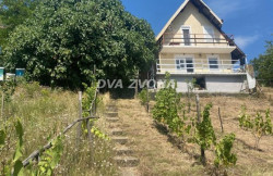 /c_images/thumb_3610041_2_ion-image-site-8-agency-dvazvona-img-cngbpj5zgj-img-5448.jpg