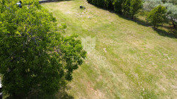 /c_images/thumb_3610222_1_1749023062_dji_0121.jpg