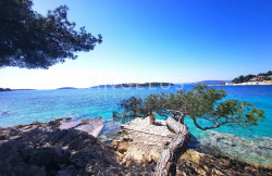 /c_images/thumb_3611417_3_ectrum-of-natural-colours-love-sea-white-sails-maslinica.jpg