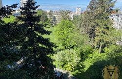 /c_images/thumb_3611569_1_on-image-site-8-agency-velesnek-img-pdxthqors4-img-0817.jpeg