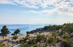 /c_images/thumb_3611616_1_1752766574_brac-vidova-gora-blog-section-image.jpg