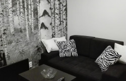 /c_images/thumb_3611721_1_apartmani-beograd-vracar-apartman-zebra.jpg