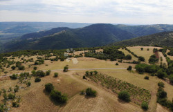 /c_images/thumb_3611772_1_1752776851_dji_0781.jpg