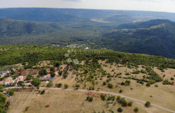 /c_images/thumb_3611772_3_1752776847_dji_0780.jpg