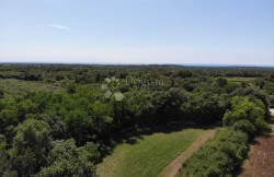 /c_images/thumb_3611774_3_1752767086_dji_0767.jpg