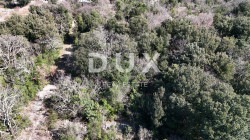 /c_images/thumb_3612909_4_1711451768_dji_20240315110404_0070_d.jpg