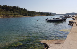 /c_images/thumb_3613322_1_pirovac-2.jpg