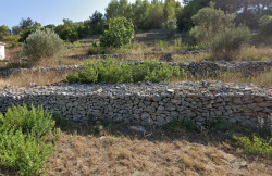 /c_images/thumb_3613328_1_orcula-island-building-land-plot-by-the-sea-for-sale-1-1.jpg