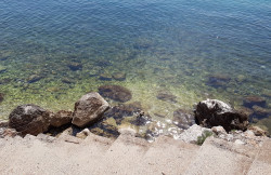 /c_images/thumb_3613335_1_podaca-makarska-obala-7.jpg