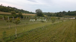 /c_images/thumb_3613517_1_ion-image-site-8-agency-dvazvona-img-g6cshcrxn5-img-5546.jpg
