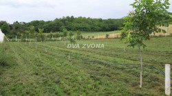 /c_images/thumb_3613517_2_ion-image-site-8-agency-dvazvona-img-v4wutcso7y-img-5547.jpg