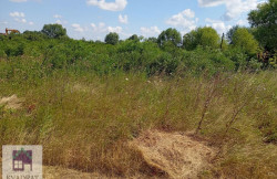 /c_images/thumb_3615059_2_vadratobrenovac-img-d0th0qdfjo-photo-2025-07-22-10-19-44.jpg