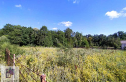 /c_images/thumb_3615926_2_on-image-site-8-agency-kvadratobrenovac-img-rqe76hqktg-2.jpg