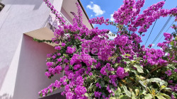 /c_images/thumb_3616012_1_1753271525_viber_slika_2025-07-23_13-48-35-119.jpg