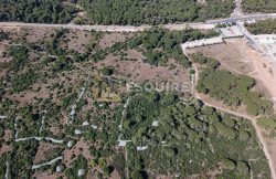 /c_images/thumb_3616432_3_1753359584_dji_20250722095230_0016_d.jpg