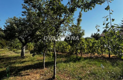 /c_images/thumb_3616518_2_tion-image-site-8-agency-dvazvona-img-jbewytgvxe-image2.jpeg